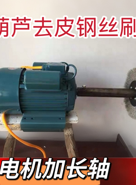 工具去皮机小型钢丝刷大葫芦