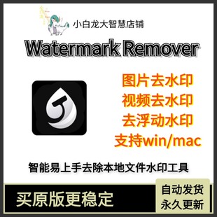 视频去水印处理图像 HitPaw Watermark Remover 软件工具WIN MAC
