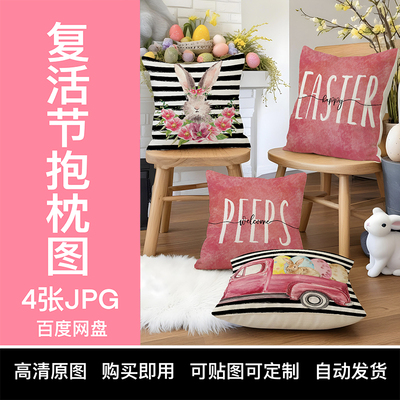 【YIXI素材】TEMU复活节抱枕套跨境亚马逊SHEIN原图粉色兔子汽车