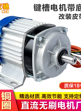 无刷电机控制器全套24v48v550W改装低速定速旋钮设备800w1000w