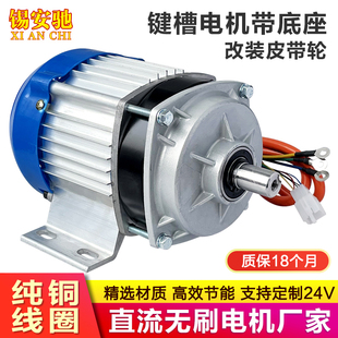 低速定速旋钮设备800w1000w 无刷电机控制器全套24v48v550W改装