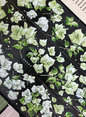 朝夕工作室 白色三角梅 白绿色植物咕卡流麻滴胶手帐pet胶带分装