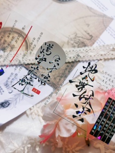 杂食动物 庆春谣与君歌思美人五陵年少 百搭pet特材文字胶带合集