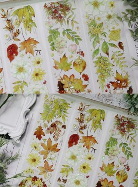 朝夕工作室 绿叶成荫春华秋实 银杏叶子咕卡流麻手帐pet胶带分装