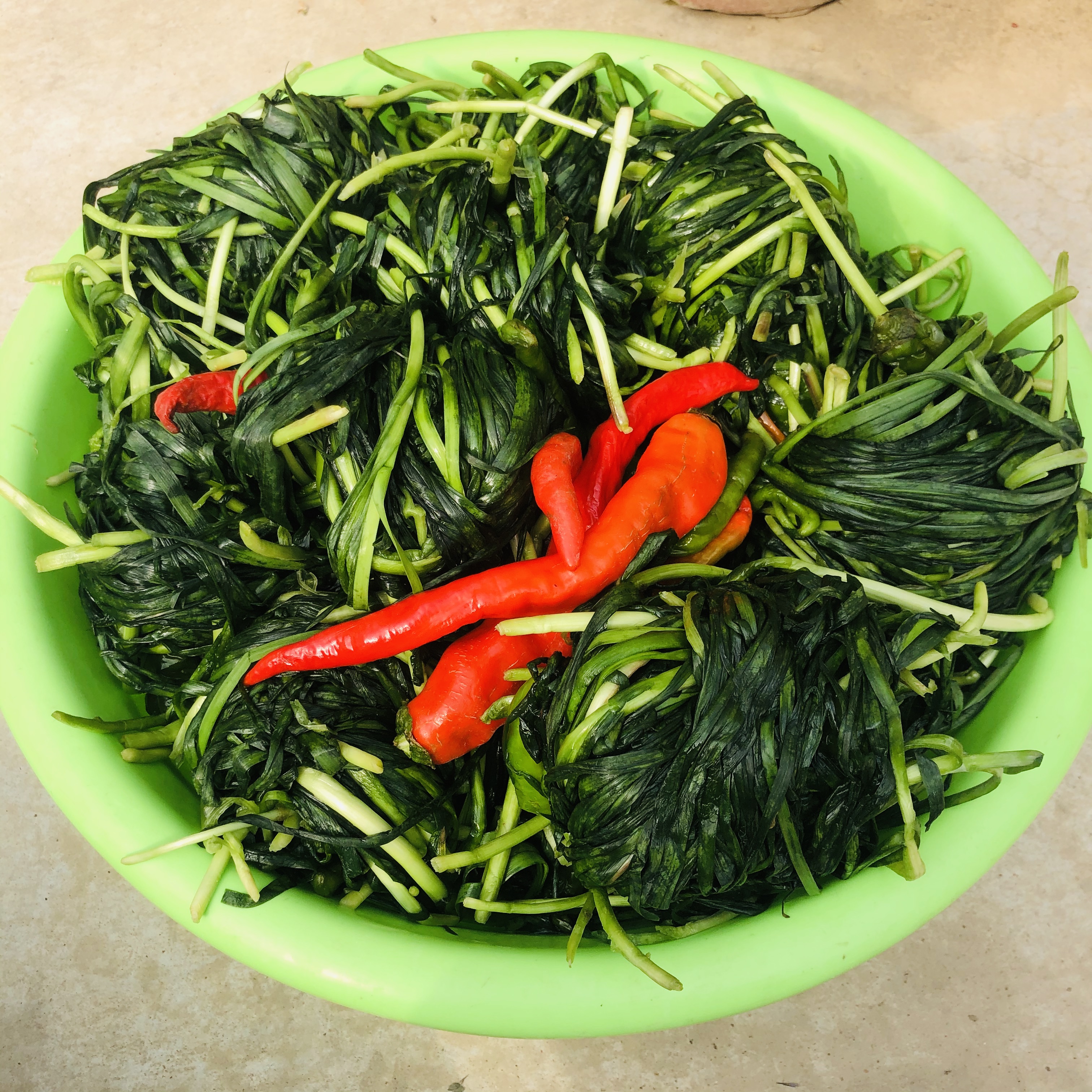 农家自制手工腌韭菜裹辣椒开胃