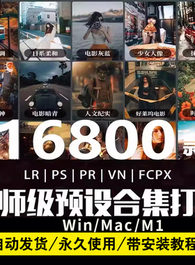 LR预设合集PS滤镜达文西pr影片FCPX剪映LUT日系人像CameraRaw底片
