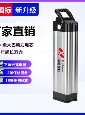 代驾折叠电动车锂电池48v20a银鱼海霸款36V12a15科讯小鸟通用电瓶