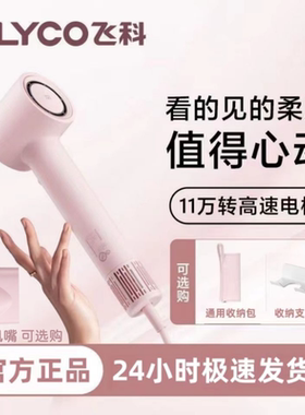 飞科高速吹风机家用负离子护发大风力吹风筒速干便携送女友FH6370
