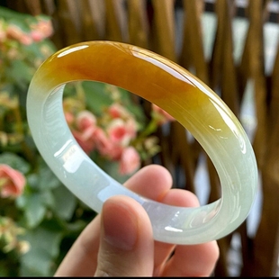 翡翠手镯女新款糯冰种正圈飘花黄翡玉镯子高端水润美人镯送礼