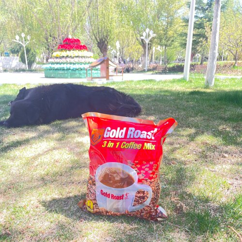 咖啡印度新加坡尼泊尔咖啡进口GoldRoast金味提神速溶三合一包邮