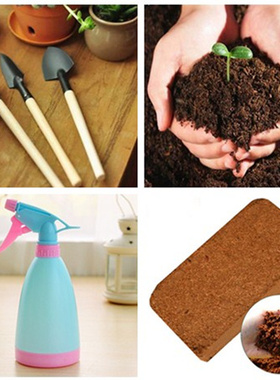 营养土椰砖长效缓控释复合肥有机肥料鸡粪家庭种蔬菜种花工具喷壶