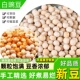 干豌豆白豌豆粒500g农家新货生豌豆干发豆芽煲汤重庆小面非绿豌豆