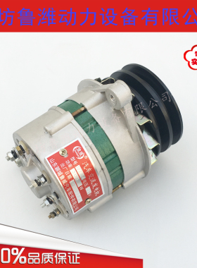 潍坊4105/6105柴油机小发电机 发电机组用JF2314发电机28V 500W