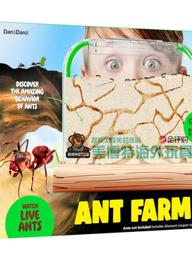 Ant Farm 儿童蚂蚁农场沙地栖息饲养箱益智科学玩具Dan Darci