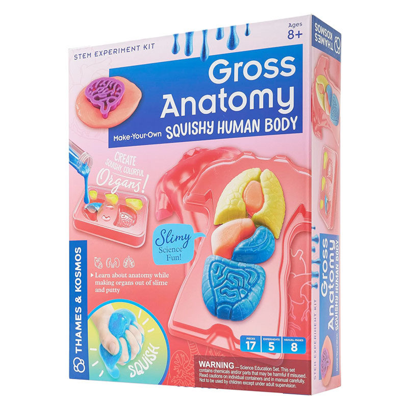 美国正品Gross Anatomy 柔软DIY彩色人体解剖玩具 捏捏乐 粘液