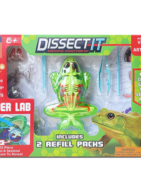 Dissect It科学解剖模型玩具手办青蛙模拟实验室益智STEM美国正品