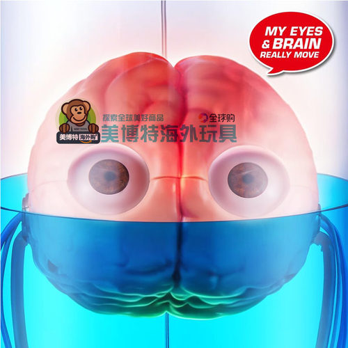 Brain Rot Brian 美国正品新款互动式发光机器人脑会说话玩具手办