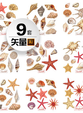 贝壳海螺海星海洋生物静物元素手绘插画芯ai矢量平面设计素材图集