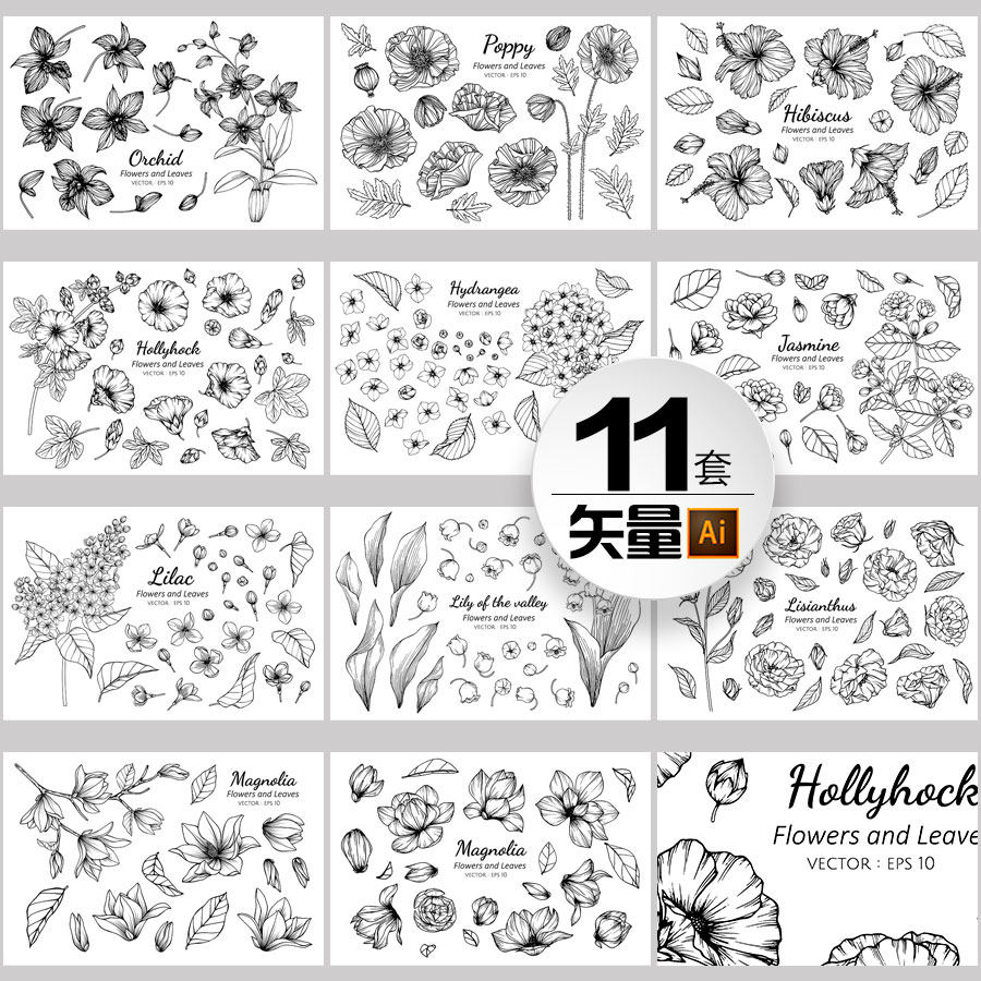 黑白素描葵花茉莉木槿八仙花玉兰木兰百合铃兰植物插画设计素材图