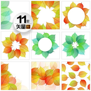 11免扣叶子叶脉经脉脉络树叶高清透明背景插画ai矢量平面设计素材