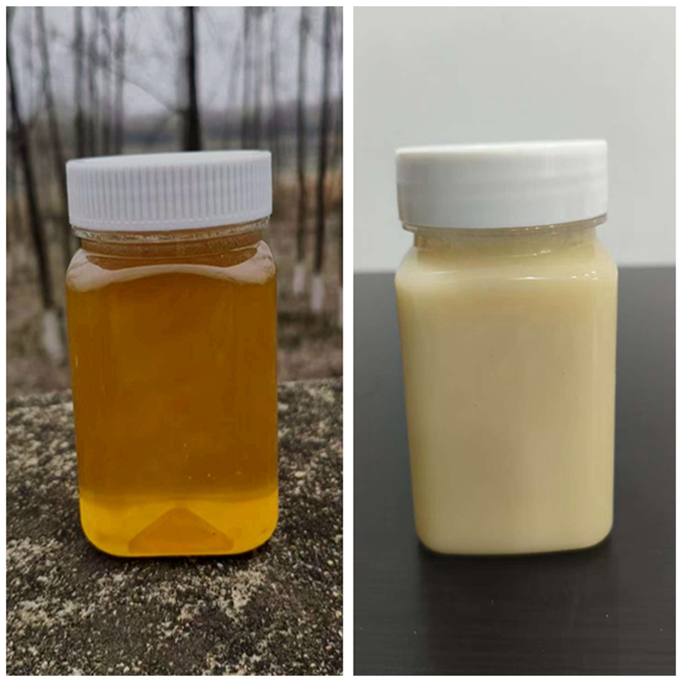 拍3发4野生鸭脚木蜜冬蜜结晶蜂蜜封盖成熟蜜泡红参陈皮