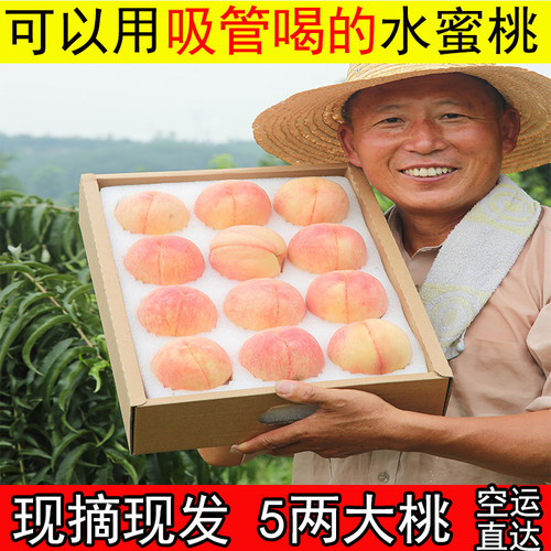 现摘正宗无锡白凤水蜜桃5两12礼盒水果新鲜孕妇软桃子当季蜜桃子