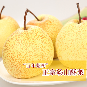 正宗砀山酥梨10斤新鲜水果现摘梨子包邮应当季汤梨秋梨青梨脆雪梨