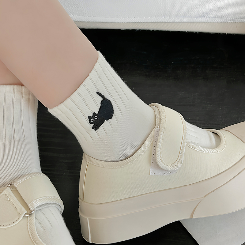 【5双装】喵星人上线春夏色彩心动纯棉薄