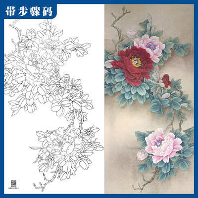 工笔画牡丹花底稿实物打印线稿四尺勾线临摹天香国色带步骤白描稿