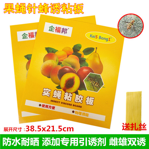 粘虫板瓜果实蝇诱粘板企邦针蜂贴