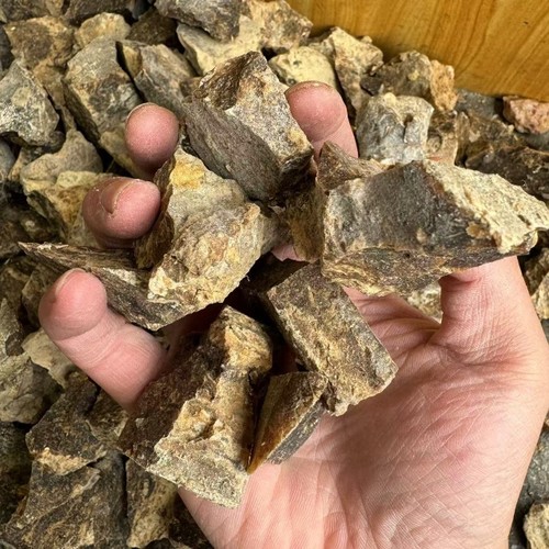 新疆臭阿魏自制窝子料添加剂