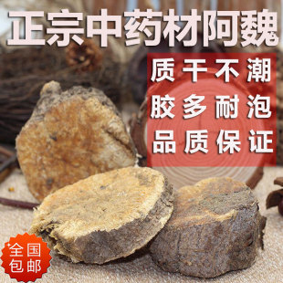 阿魏粉 四季 阿魏根 新疆正宗药材食材阿魏 钓鱼用窝料 包邮 鱼饵料