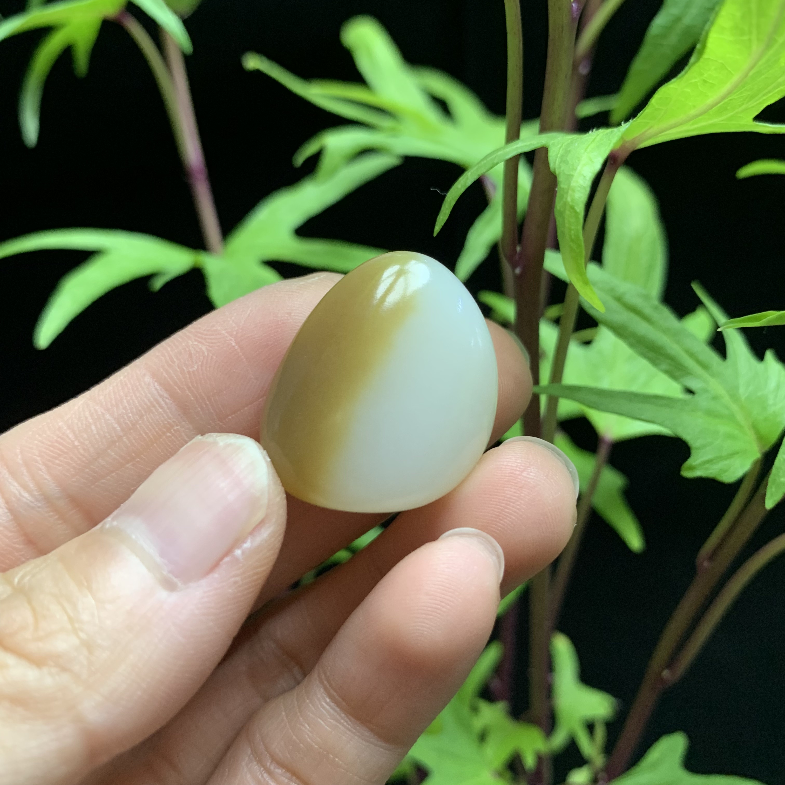 洋铮珠宝和田玉纯天然糖白玉原石干净戒面随型包邮收藏送礼