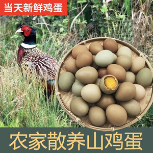 正宗七彩山鸡蛋新鲜宝宝辅食野金农家天然散养五彩土鸡蛋野鸡蛋