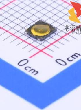 全新SKSHAAE010原装(SKSHAAE010)正品