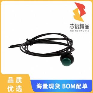 SPST PUSH SWITCH 全新PB7B2HS6M1CAL00Y500原装
