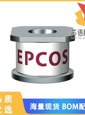 全新B88069X6201T702原装(6.2MM X 4.1MM, SMD, 2 EL