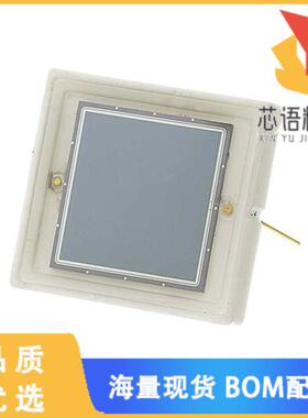 全新RD100A原装(10X10 MM FULLY DEPLETED, HIGH EN)正品