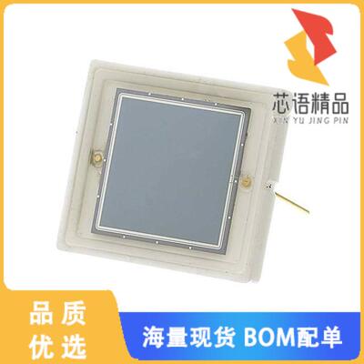 全新RD100A原装(10X10 MM FULLY DEPLETED, HIGH EN)正品