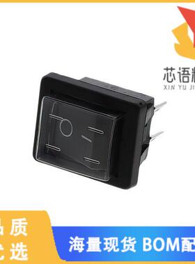 全新C1350ALGAE原装(SWITCH ROCKER DPST)正品