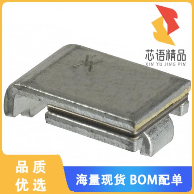 全新AHS300F/24-2原装(PPTC-SMD-PSW)正品