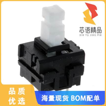 全新JN2UOANAGX原装(SWITCH PUSH DPDT 0.1A 30V)正品
