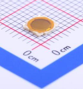 全新SKRBACE010原装(SKRBACE010)正品