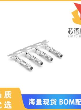 全新SS16M2N原装(CONTACT SOCKET 16AWG SZ16 CRIMP)正品