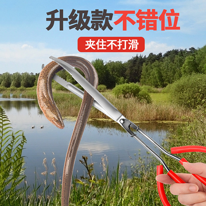 新款不锈钢黄鳝夹子鳝鱼夹泥鳅螃蟹钳子防滑防脱专用工具赶海神器