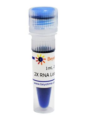 R0215-1ml 2X RNA Loading Buffer 2X RNA上样缓冲液
