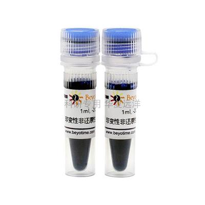 P0016N-2ml 非变性非还原性蛋白上样缓冲液(5X)
