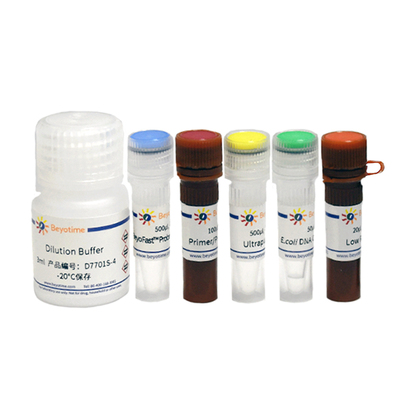 大肠杆菌DNA残留探针法qPCR检测试剂盒 D7701S D7701M碧云天