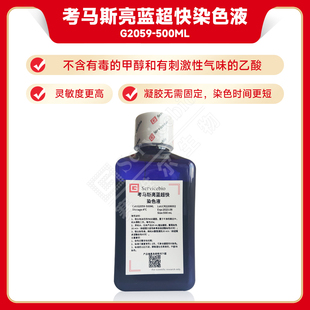 无需脱色 SDS 蛋白胶染色液 考马斯亮蓝快速染液 5min显色 PAGE