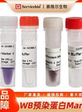 WB预染蛋白Marker 彩虹条带Marker PAGE电泳蛋白分子量标准250ul